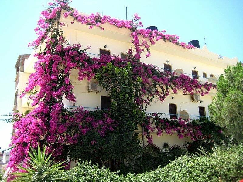 Knossos Hotel Kalamaki  Exterior photo